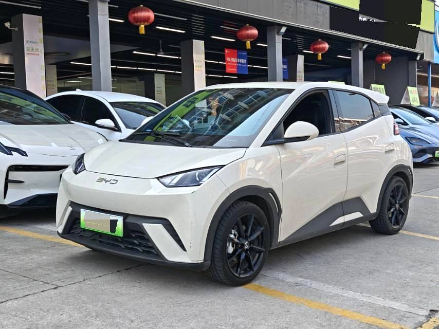 Used BYD Seagull 2024 Model 305km Vitality Edition BEV 30.08kWh 305km