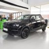 Wholesale Radar King Kong 2024 Model 430KM FWD Long Cargo Bed Edition BEV 63kWh 430km