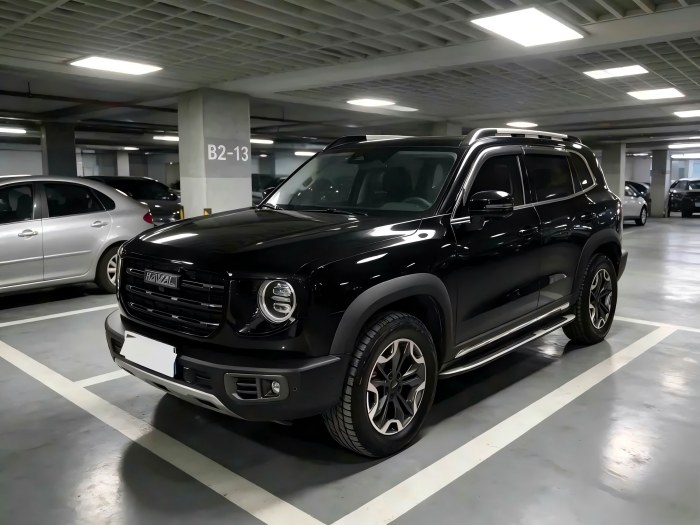 Haval-Dargo-Used 2022 Haval Dargo 2.0T 238HP 4WD Automatic SUV, In Stock For Export