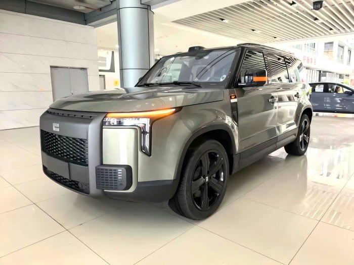 USED 2023 Rox Jishi 01 Premium 6-Seater 272HP Automatic In Stock Wholesale Export